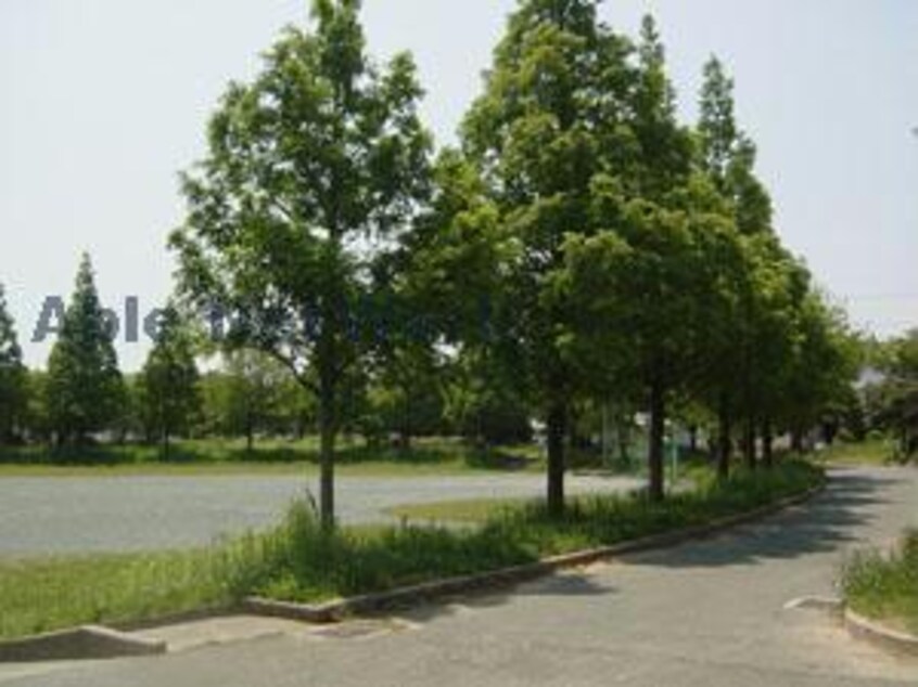 中山田池公園(公園)まで965m ウィンフィールド弥生