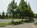 中山田池公園(公園)まで845m ヴィラウィル