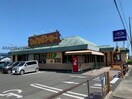 びっくりドンキー三ノ輪店(その他飲食（ファミレスなど）)まで635m エステート２１