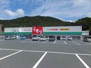 スギ薬局二川店(ドラッグストア)まで727m サープラス華Ａ・Ｂ・Ｃ・Ｄ