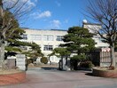 豊橋市立東田小学校(小学校)まで1132m パークサイド仲の町