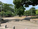 桜ケ丘公園(公園)まで591m ライブ南瓦153