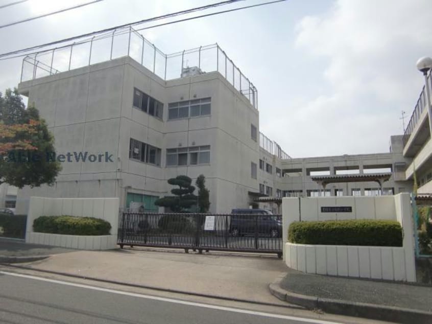 豊橋市立飯村小学校(小学校)まで1475m キャッスルカタバミ