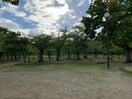 第11号向山台緑地(公園)まで620m リバーサイド・エクセル柳生