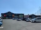 TSUTAYA三ノ輪店(ビデオ/DVD)まで1634m ベルガーデン向山Ⅲ号館