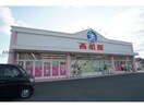 西松屋豊橋吉田方店(ショッピングセンター/アウトレットモール)まで591m ガーデンコート・Ｂ・ブリッジ