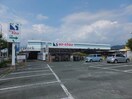 ほびーらトウア岩田店(電気量販店/ホームセンター)まで2489m ライズコート