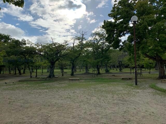 第11号向山台緑地(公園)まで602m グリーンステージわたなべ