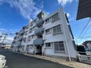 ハイツしらいの外観