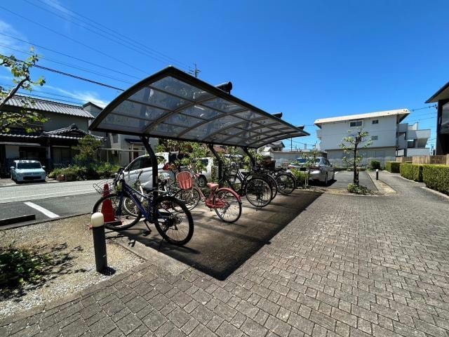  セルリアンコート