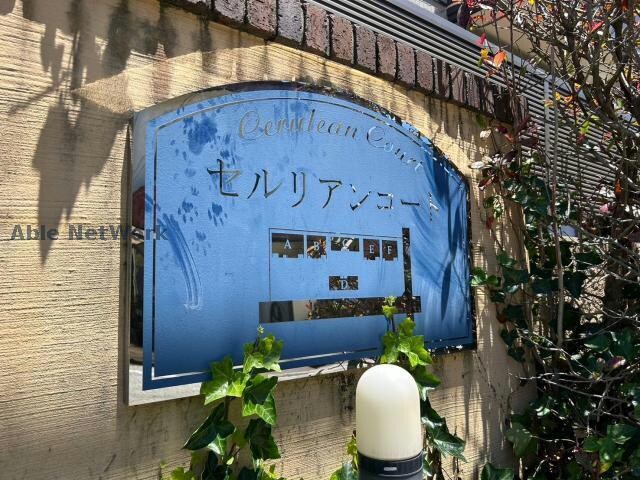  セルリアンコート