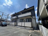 アルシアスギ
