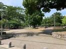桜ケ丘公園(公園)まで457m サンマツモトB