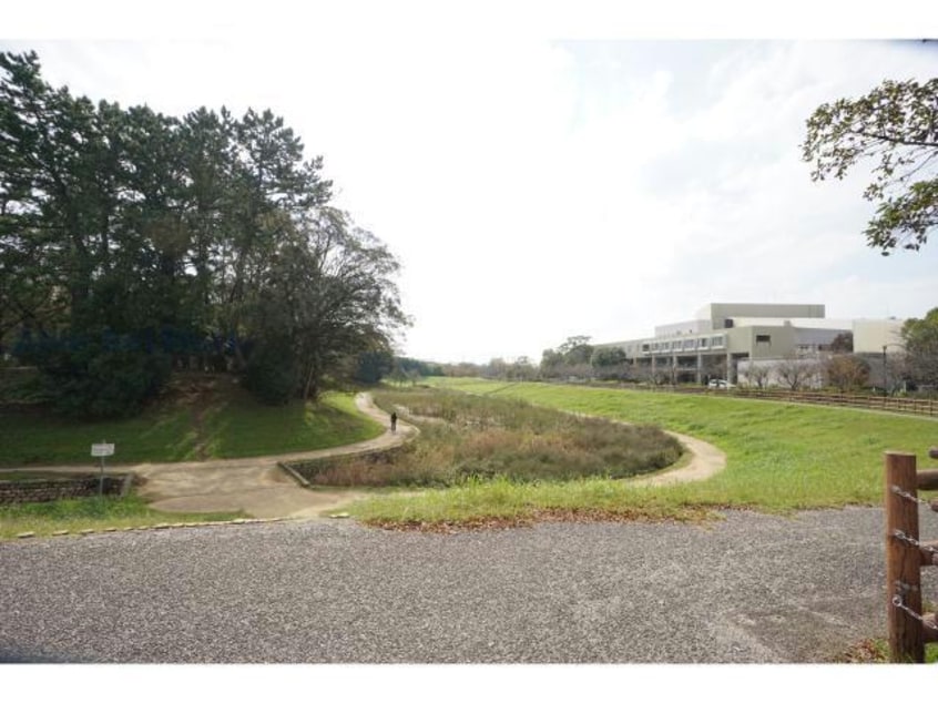 高師緑地(公園)まで1272m シャトー道