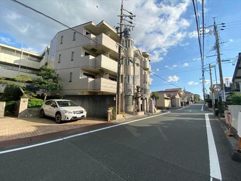  ミナミタウンスギ