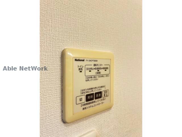  ミナミタウンスギ