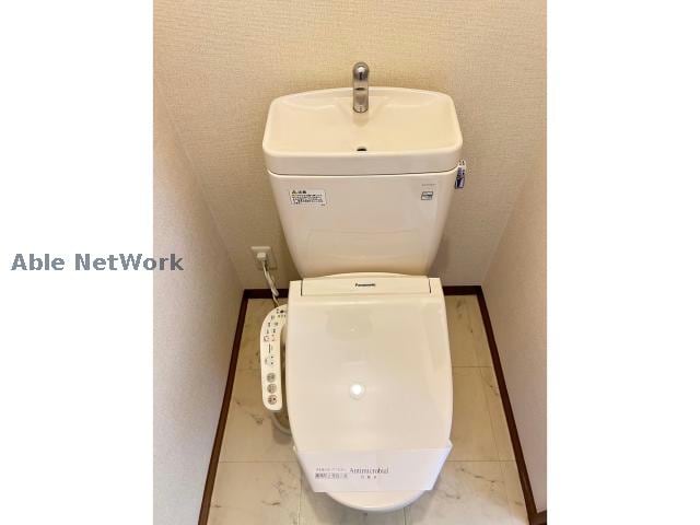  ミナミタウンスギ