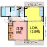 サフィニア　ガーデン 1LDKの間取り