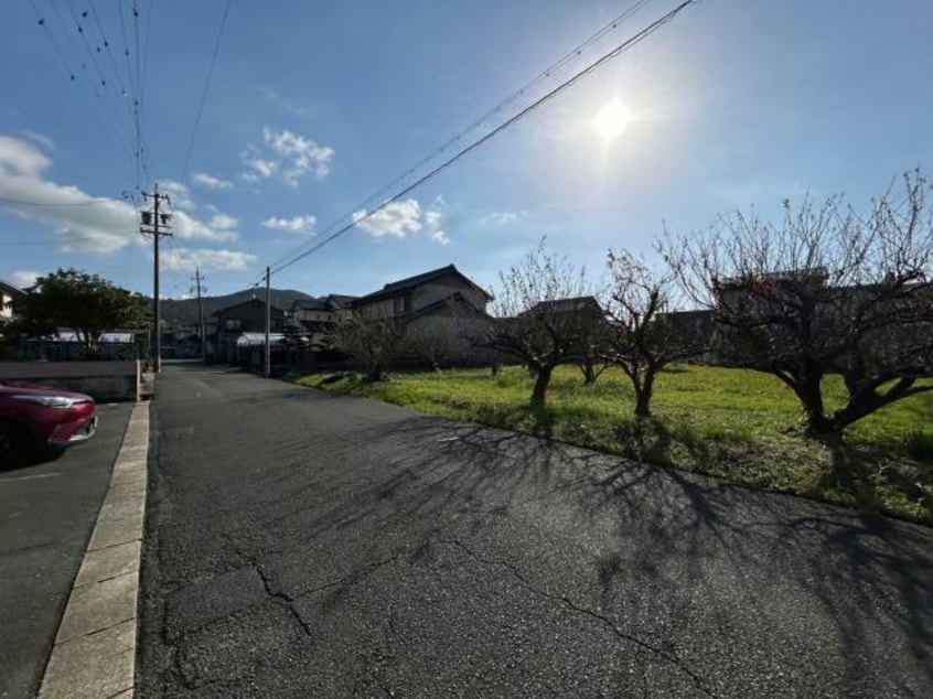  クレセオ花水木