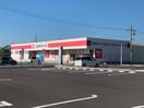 ココカラファイン江島店(ドラッグストア)まで643m プレミール(佐藤）