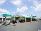 JA豊橋磯辺支店(銀行)まで879m グリシーヌ草間