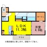 アメニティ橋口 1LDKの間取り