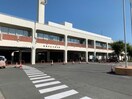 豊橋市図書館配本センター(図書館)まで1263m ペアパレス東田