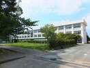 豊橋市立豊小学校(小学校)まで423m Park Avenue