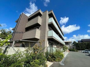 ロータスプランシェ向山