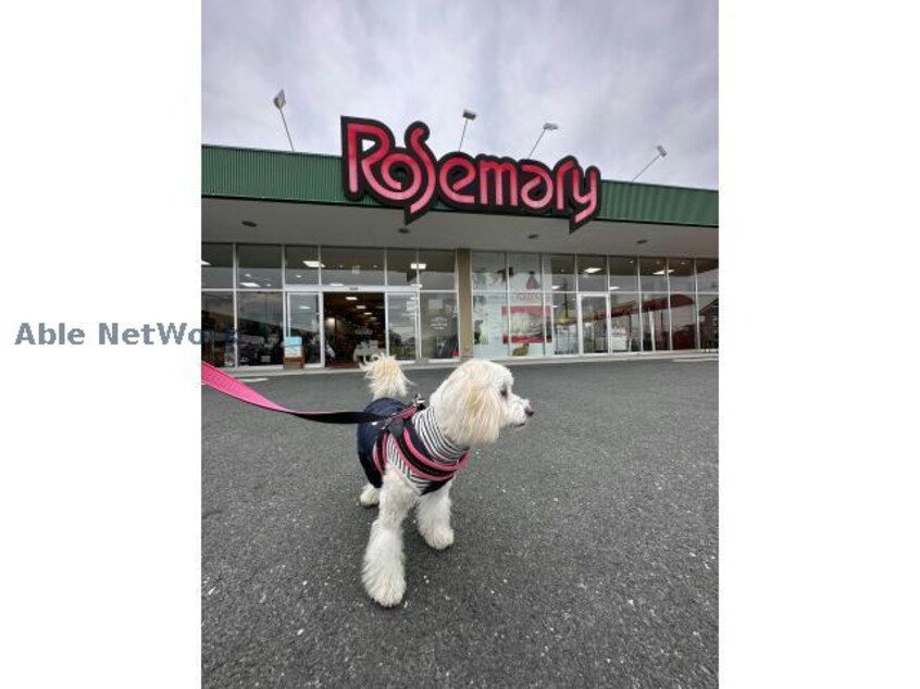 マツヤデンキ岩田店(電気量販店/ホームセンター)まで1297m ユアメゾン三ノ輪