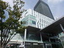 くまもと森都心プラザ図書館(図書館)まで446m 鹿児島本線/熊本駅 徒歩2分 12階 築12年