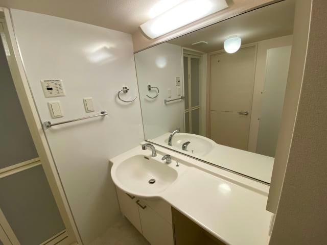 同型 リーベンバウム