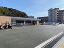 セブンイレブン熊本崇城大学前店(コンビニ)まで1185m シャンベルタン