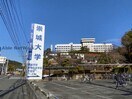 私立崇城大学(大学/短大/専門学校)まで1301m 第１上村ハイツ