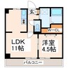 熊本駅南マンション 1LDKの間取り