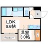 REGALEST熊本駅前 1LDKの間取り