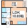 TOMORIE熊本駅南 1LDKの間取り