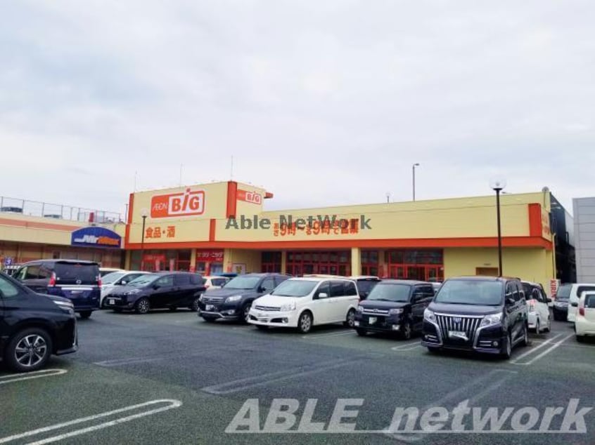 ザ・ビッグ熊本南店(ディスカウントショップ)まで654m ブルシア