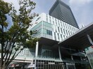くまもと森都心プラザ図書館(図書館)まで705m 熊本市電Ａ系統<熊本市交通局>/田崎橋駅 徒歩6分 8階 築7年