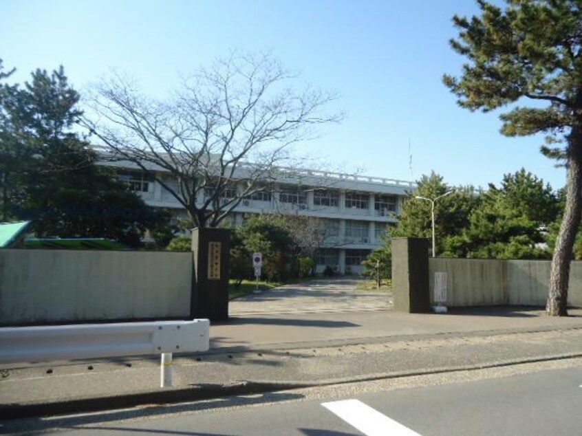 私立新潟青陵大学短期大学部(大学/短大/専門学校)まで845m コーポ秀和Ａ