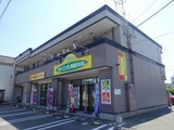 プルメーリア