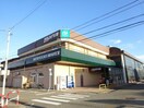 スーパーマルイ寺尾台店(スーパー)まで205m ヴェルディフクダⅡ