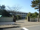 私立新潟青陵大学(大学/短大/専門学校)まで1542m グランディール田町