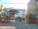 国立新潟大学医学部(大学/短大/専門学校)まで1986m ダイアパレス本町第２