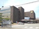 日本歯科大学新潟生命歯学部図書館(図書館)まで725m ロイヤルコート浜松町