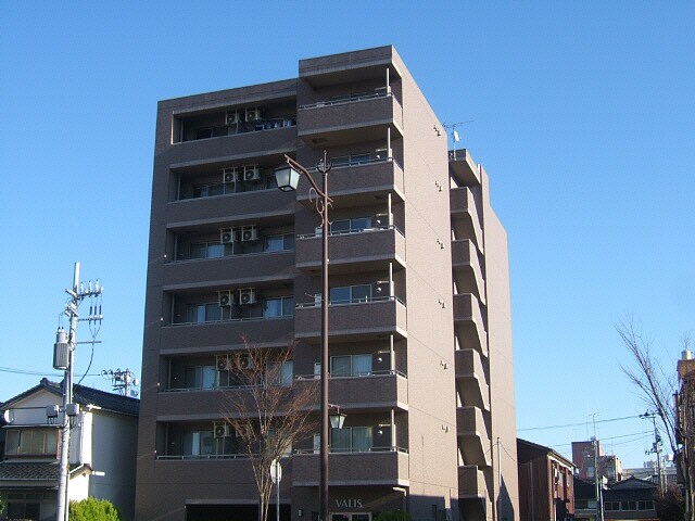  VALIS