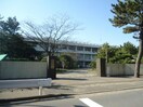 私立新潟青陵大学(大学/短大/専門学校)まで1321m アルビ関屋本村