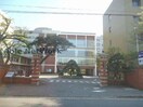 国立新潟大学医学部(大学/短大/専門学校)まで509m レジュイール東中通