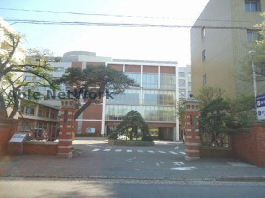 国立新潟大学医学部(大学/短大/専門学校)まで509m レジュイール東中通