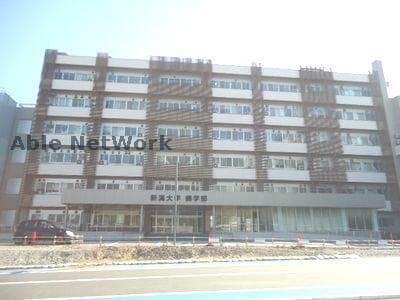 国立新潟大学歯学部(大学/短大/専門学校)まで595m メゾン小川